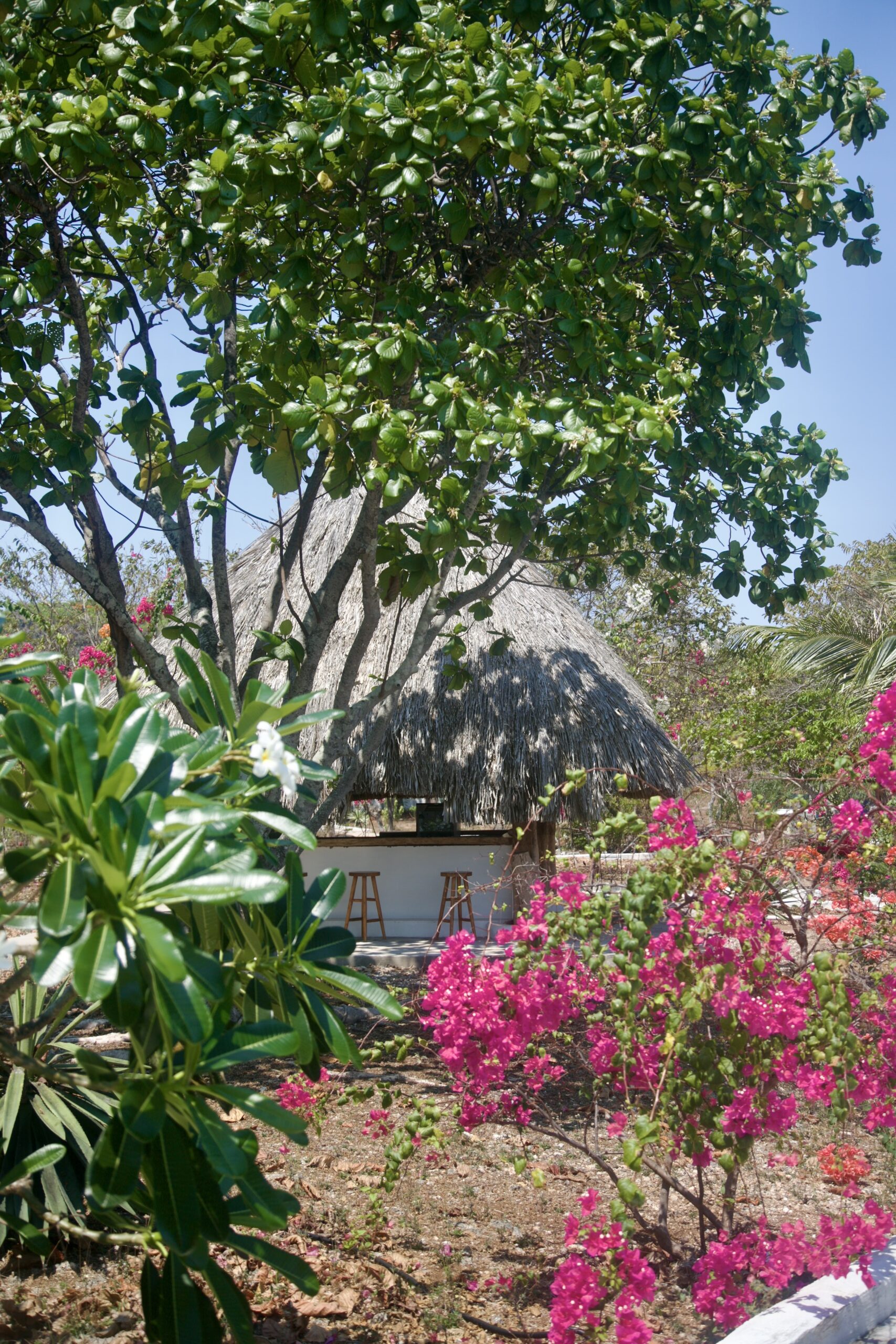 A Bungalow tucked among the palms and tropical garden with sea views