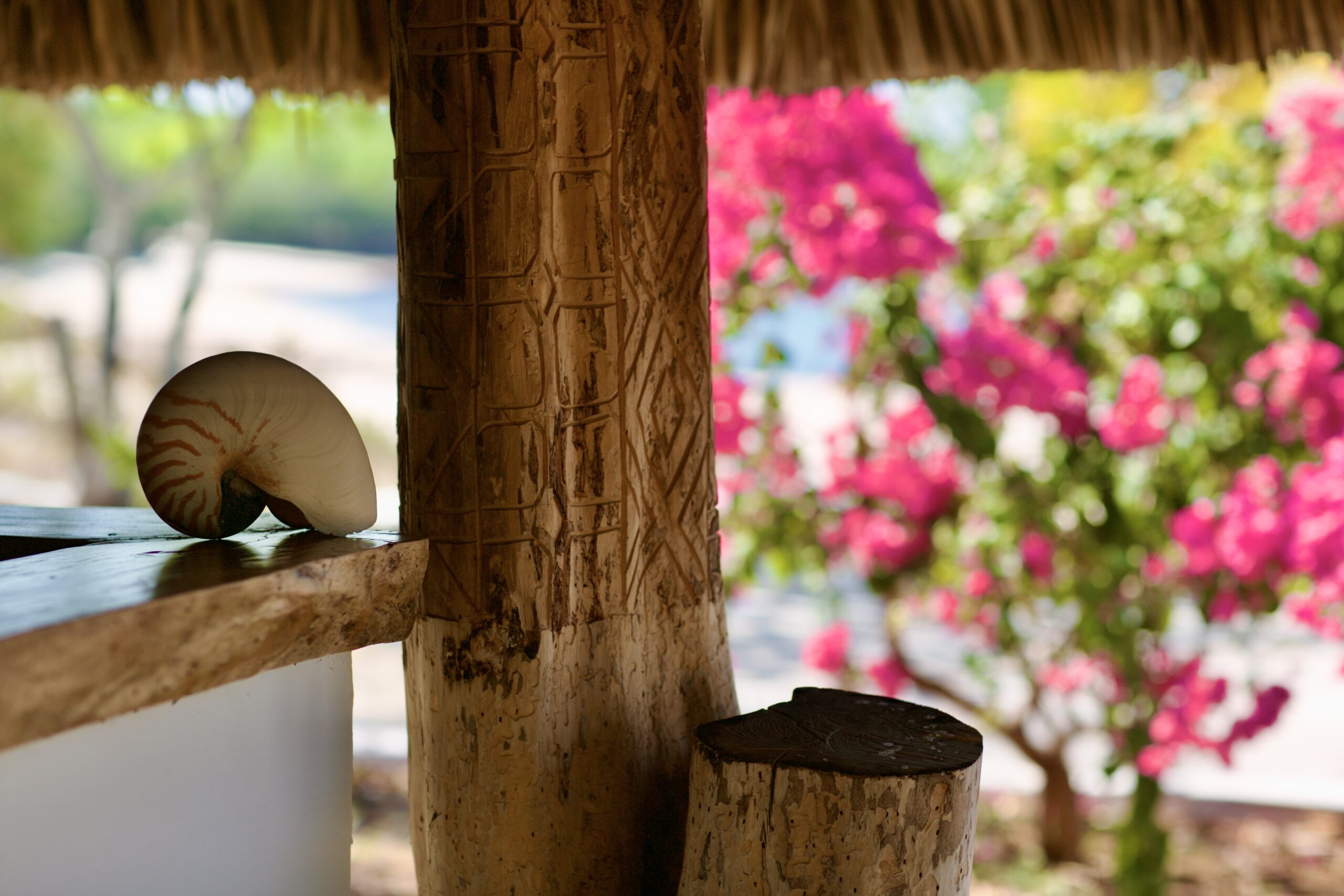 Bougainvillea and shell detail on the table